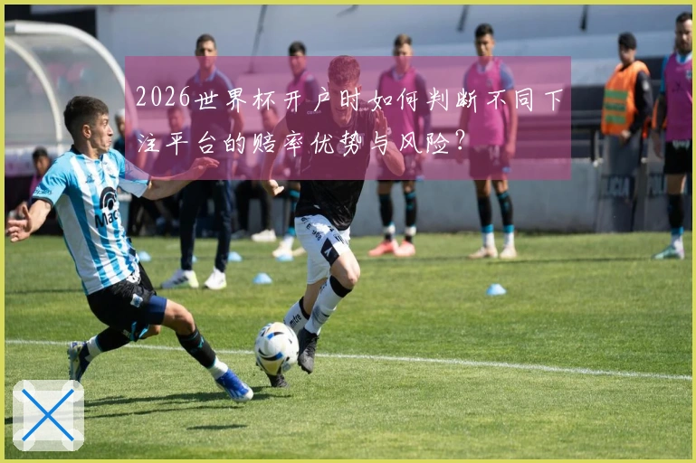 2026世界杯开户时如何判断不同下注平台的赔率优势与风险？